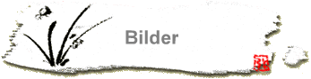 Bilder