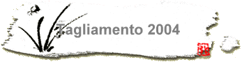 Tagliamento 2004